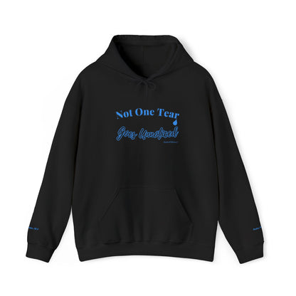 Every Tear Is Known™ Hooded Sweatshirt